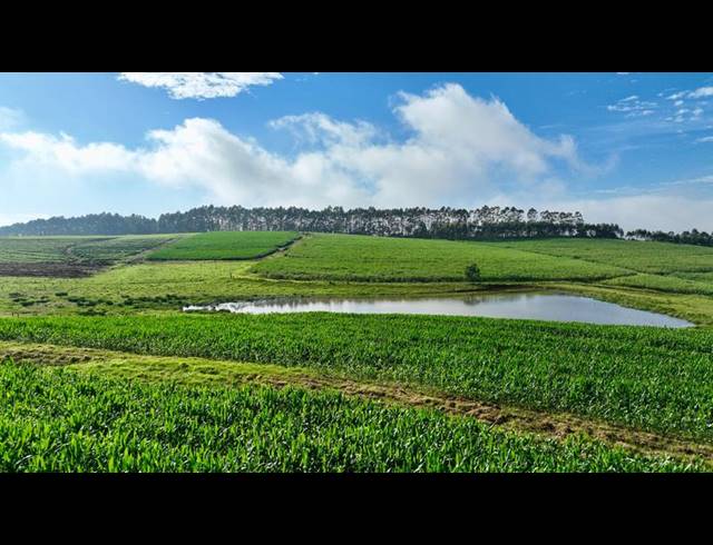 LAND FOR SALE IN MOUNT VERDE